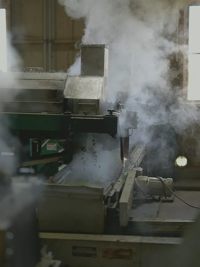 Steam rising from the deep-steaming machine at the Sasaki Seicha factory.