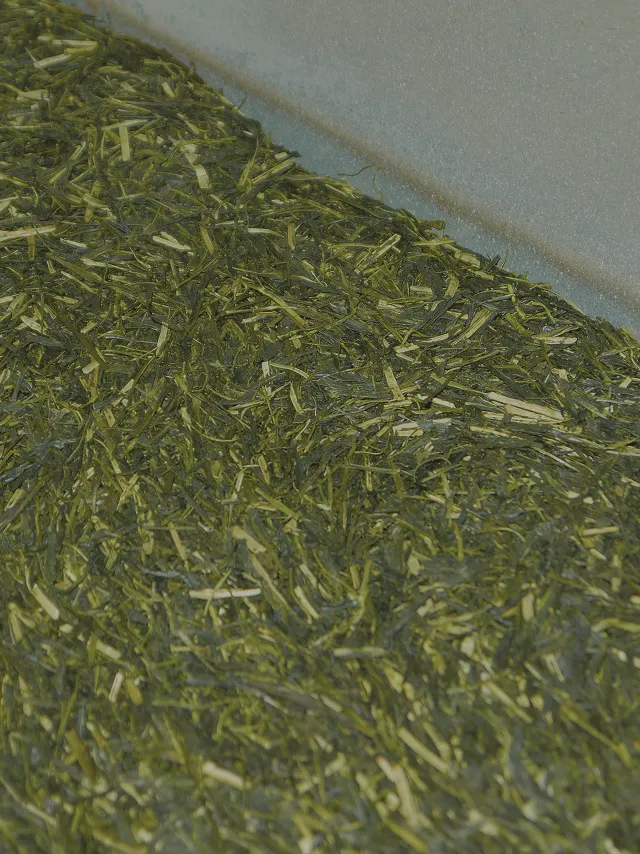 Freshly rolled and dried aracha crude tea leaves.